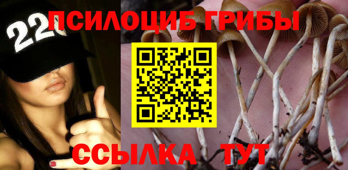 Галлюциногенные грибы мухоморы Междуреченск