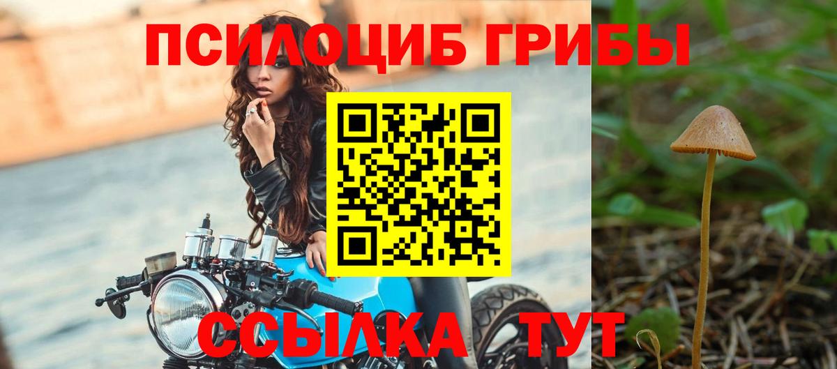Псилоцибиновые грибы Psilocybe  Вход с VPN  Междуреченск 